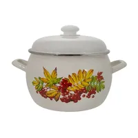 Кастрюля эмалированная 5 л Рябина – Лысьвенские эмали